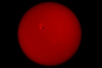 Sole 19mag2016 Coronado Solarmax II 60 BF15, Nikon D5100 45xun640s 160iso Barlow APO 2x Crop+Resize.jpg