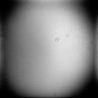 CCD Image 17.jpg