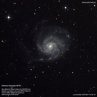 1a versione di M101 per Quasar.jpg