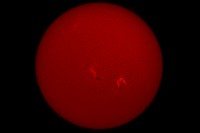 Sole 05sett2017 Coronado Solarmax II 60 BF15, Nikon D5100 28xun320s 100iso Barlow APO 2x Crop+Resize.jpg