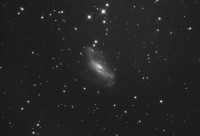 NGC2146 L Fine.jpg