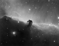 HorseHead-B33.jpg