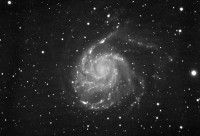 M101-finale-tutte.jpg