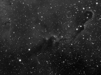 IC1396 particolare resized.jpg