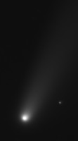 cometa2 bw.jpg