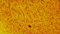 AR2767.jpg