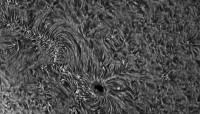 AR2767 BW1.jpg