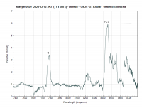 noavper2020_20201212_843_Umberto Sollecchia.png