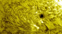 AR2824.jpg