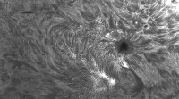 AR2824bw.jpg