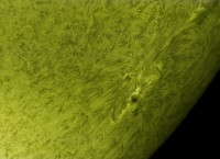 Ar2860.jpg