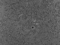 AR2897.jpg