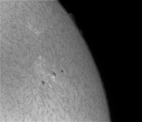 AR2916 2.jpg