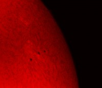 AR2916.jpg