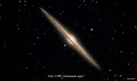 NGC 4565.jpg