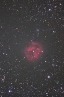 Cocoon Nebula Canon 6D mod + C8 f6.3, L-pro filter, crop, 48x50s 12800iso.jpg