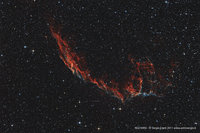 NGC6992 web.jpg