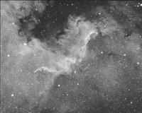NGC7000_H694.jpg