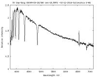 Profilo-SV-Cep.jpg