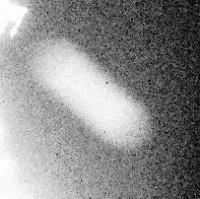 ESA_Rosetta_NAVCAM_20150214T1029_Cparticella.jpg