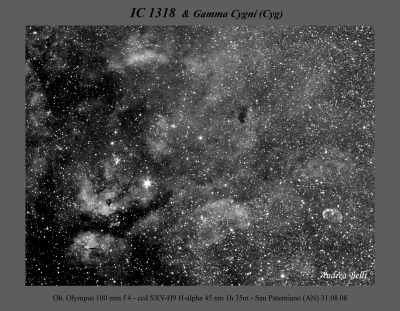 IC1318 Ha web