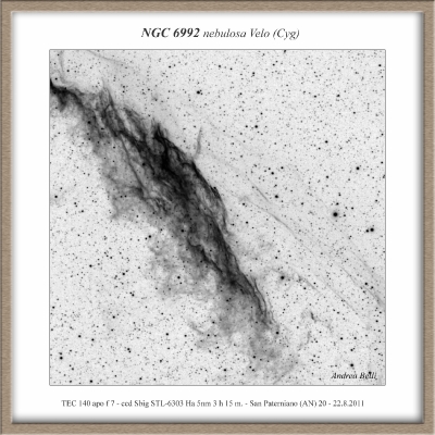 Velo in B&W: NGC 6992