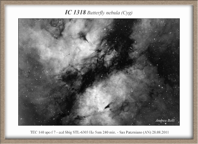 IC 1318 - Butterfly nebula