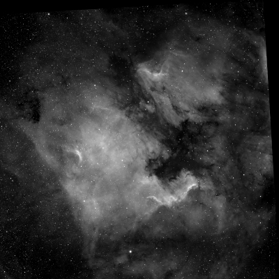 NGC 7000 - Ha