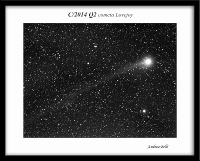 Cometa LoveC/2014 Q2