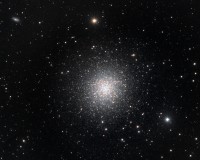 M13 crop.jpg