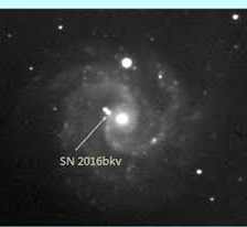 NGC 3184.jpg