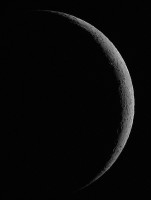 DSC_6476a.jpg