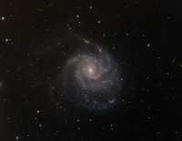 M101 crop.jpg