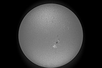 Sole 13apr2016 Coronado Solarmax II 60 BF15, Nikon D5100 Full HD da 13s 211 frames Barlow APO 2x Crop BN.jpg