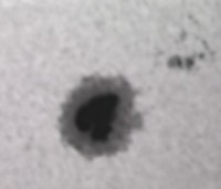 sol_sole0001 16-04-12 17-41-24_g3_b3_ap158reg6.jpg