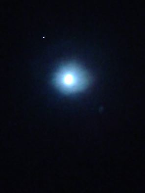 13000194_1169820466362161_7149893997952633118_n.jpg
