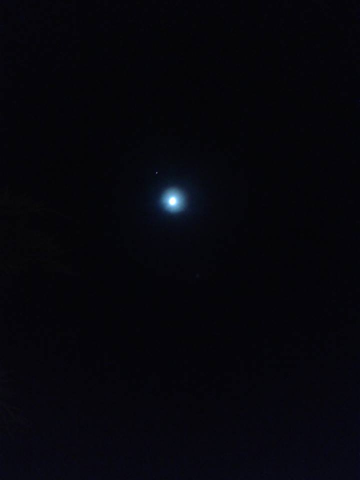 13043244_1169820469695494_2206545130445446749_n.jpg