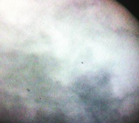 IMG_2899e.JPG