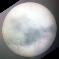 IMG_2901e.JPG