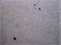 sole mercurio0055 16-05-09 16-51-36.jpg
