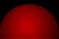 IMG_8496_218ca.jpg