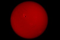 Sole 19mag2016 Coronado Solarmax II 60 BF15, Nikon D5100 45xun640s 160iso Barlow APO 2x Crop+Resize.jpg