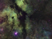 IC 1318 50%.jpg
