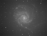 M101piero.jpg