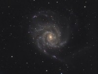 M101 piero.jpg