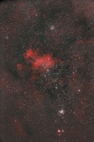 43xRAWflatcurvesstarsbackflatback2.jpg