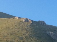 Nord