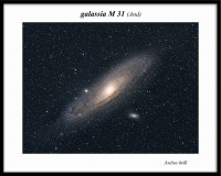 M 31 in LRGB