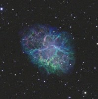 M1 crop.jpg