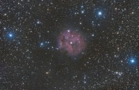 IC 5146 ASI 294